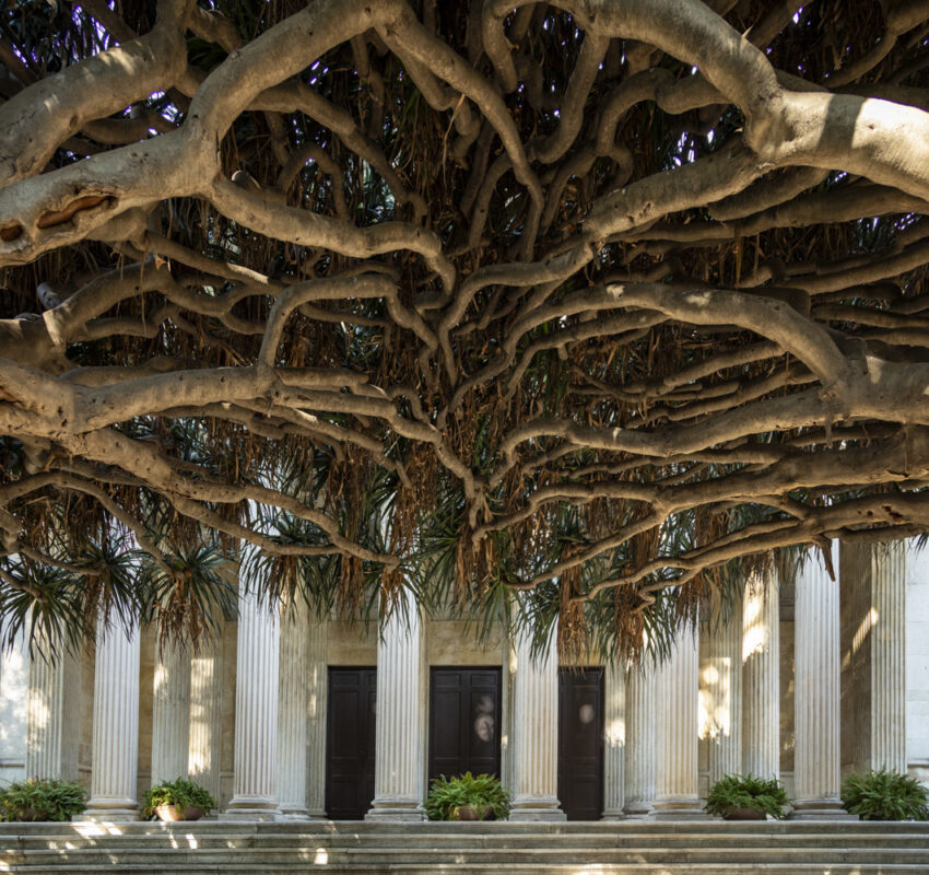 Orto Botanico | Catania